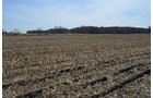Property photo 175 - REAL ESTATE & PERSONAL PROPERTY AUCTION, 140 Acres offered in 8 Tracts or Combinations in Steuben County